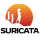 program